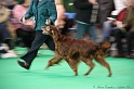 Crufts2011 030